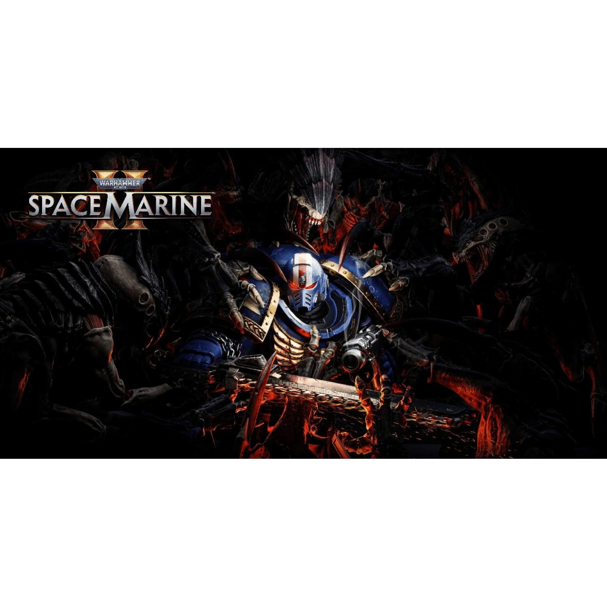 24503196-4e13-431d-bc3f-363375bec6a4